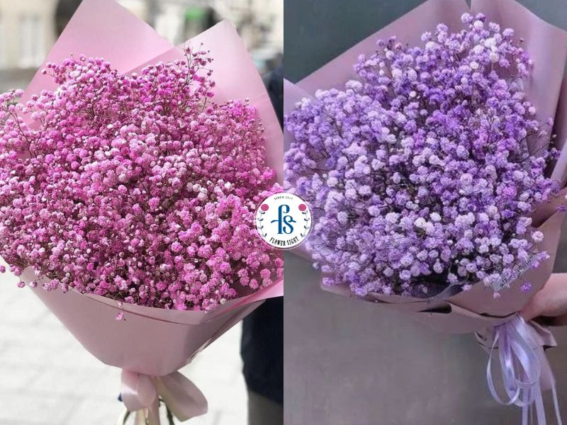 Mẫu bó hoa baby 2