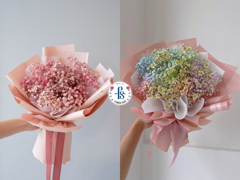 Nguồn gốc của loài hoa baby