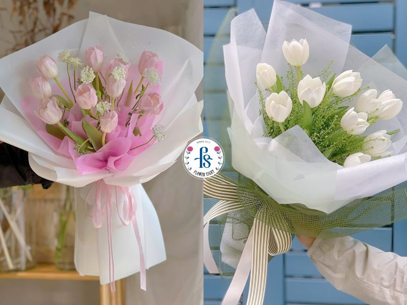 Nguồn gốc của hoa tulip