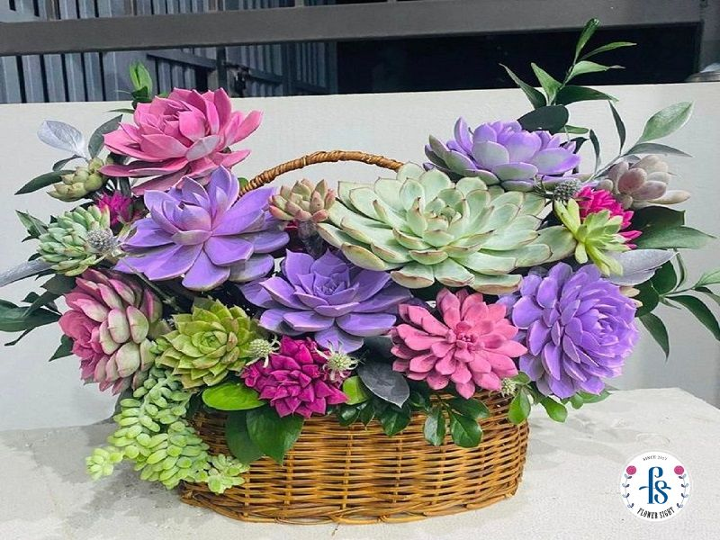 Ý nghĩa của giỏ hoa sen đá