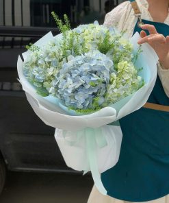 Bó hoa cẩm tú cầu Gió se và nắng