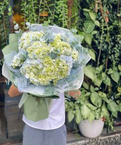 Bó hoa cẩm tú cầu Đêm lao xao