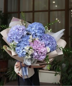 Bó Hoa Cẩm Tú Cầu Don't Wake Me Up