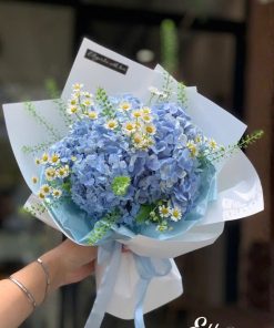 Bó Hoa Cẩm Tú Cầu Moonshine