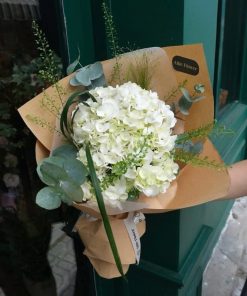 Bó Hoa Cẩm Tú Cầu Scandalous