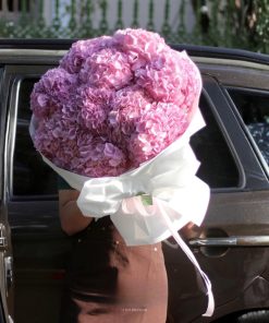 Bó Hoa Cẩm Tú Cầu Triều Châu