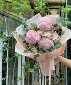 Bó Hoa Cẩm Tú Cầu United in Trance