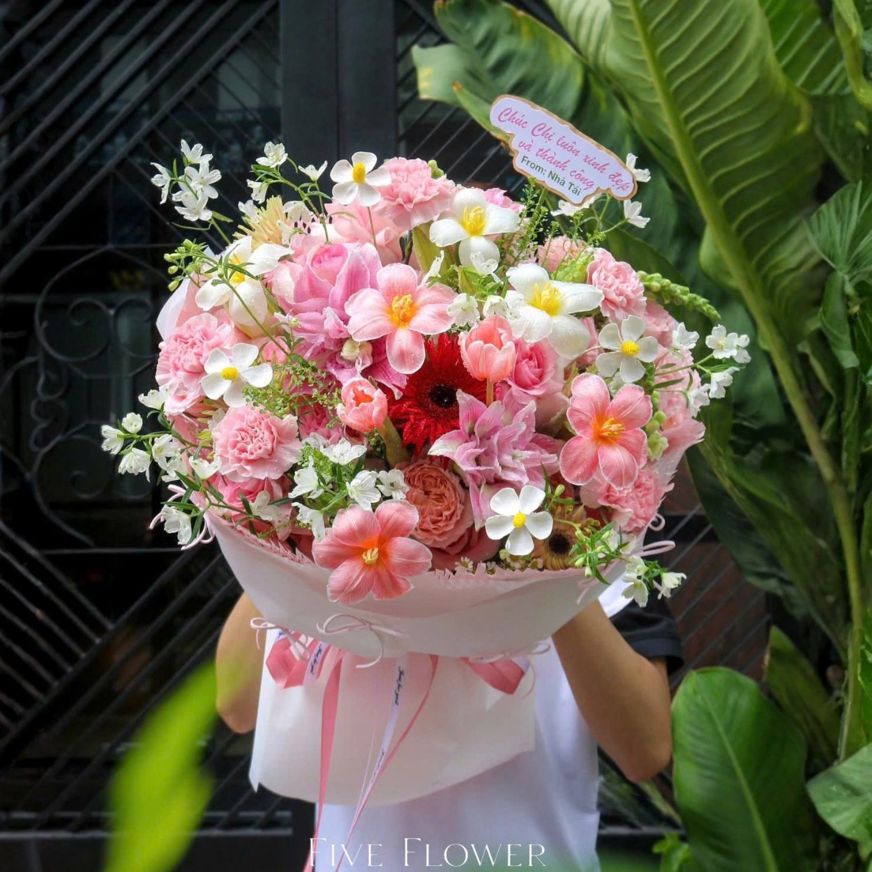 Sofia Bó hoa tình yêu Sofia