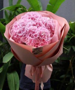 Bó hoa tú cầu Mưa ngâu