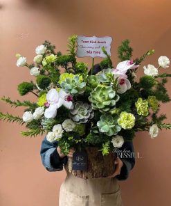 Giỏ Hoa Sen Đá Lucky Girl Syndrome