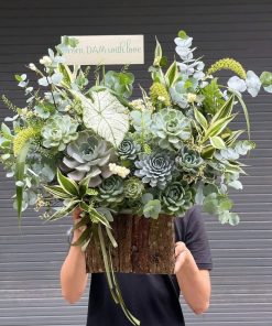 Giỏ Hoa Sen Đá Moonstruck