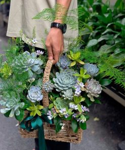 Giỏ Hoa Sen Đá Perfect Night