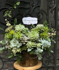 Giỏ Hoa Sen Đá Tick Tack