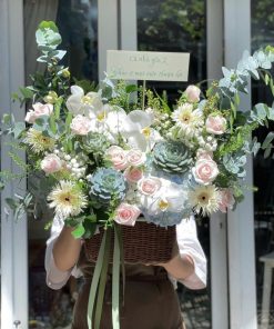 Giỏ Hoa Sen Đá Tình tính tang