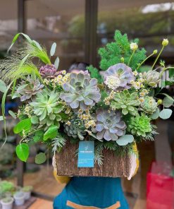 Giỏ Hoa Sen Đá Wrong times