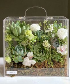 Giỏ Hoa Sen Đá Ký Ức Của Mẹ