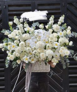 kệ tang hiện đại Universe