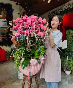 Lan hồ điệp chưng tết Báu vật trời cho