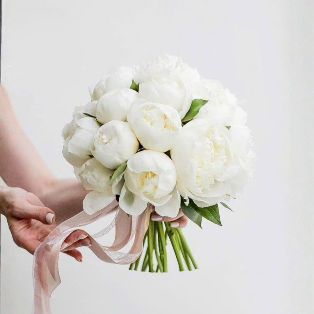 Blush Peony Bó hoa cưới mẫu đơn Blush Peony