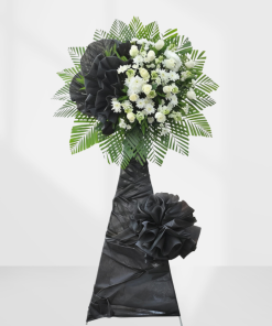 kệ chia buồn Beyond The Clouds