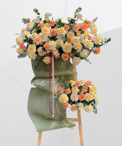 Hoa khia trương Rise to Success