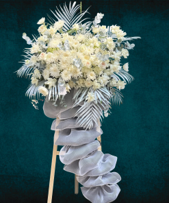 Hoa Chia Buồn Moonlight Farewell