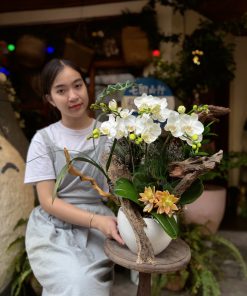Lan Hồ Điệp Bạch Ngọc Lan