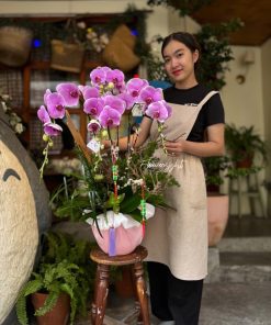 Lan Hồ Điệp Duyên Hoa
