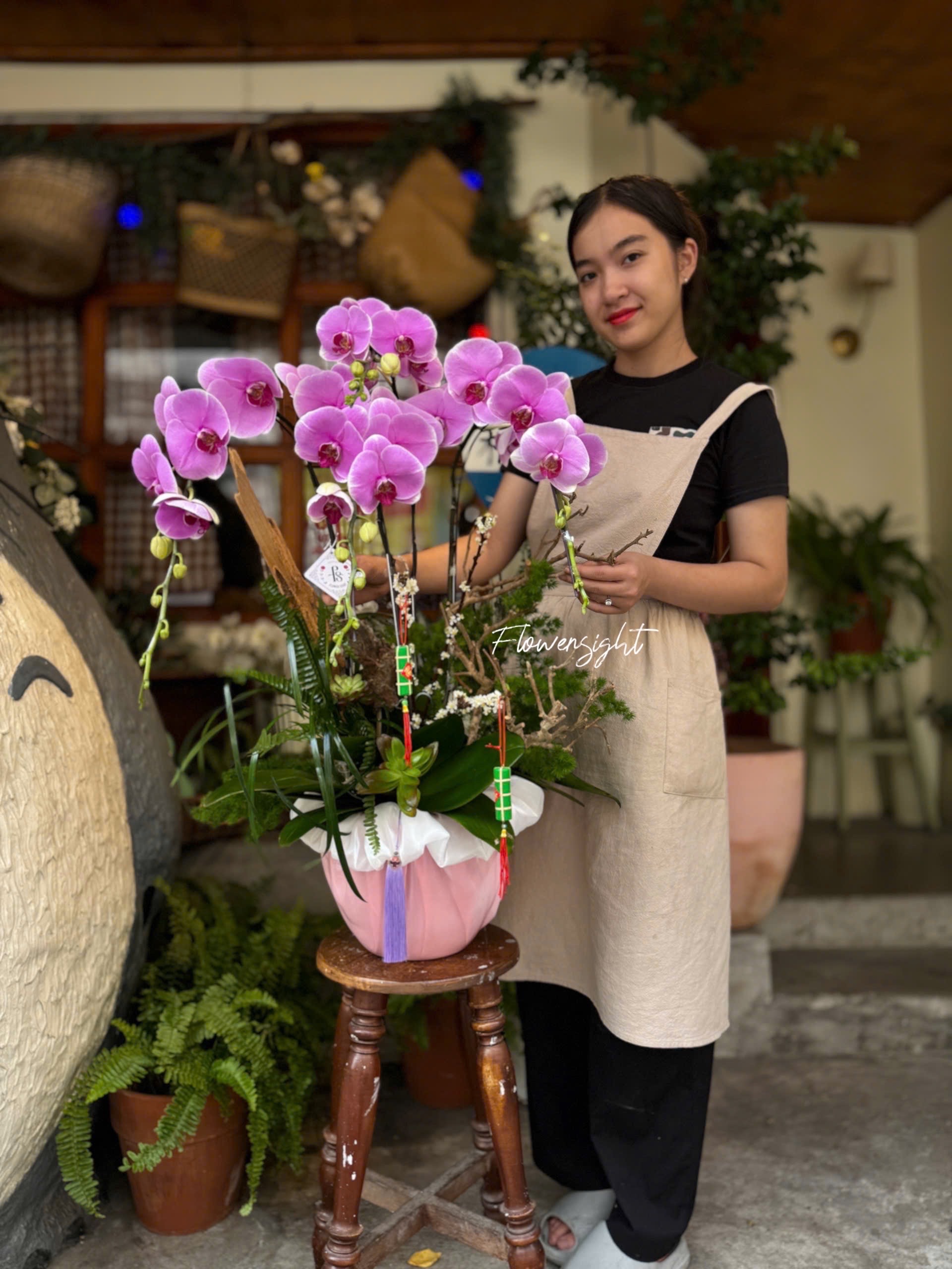 Duyên Hoa Lan Hồ Điệp Duyên Hoa