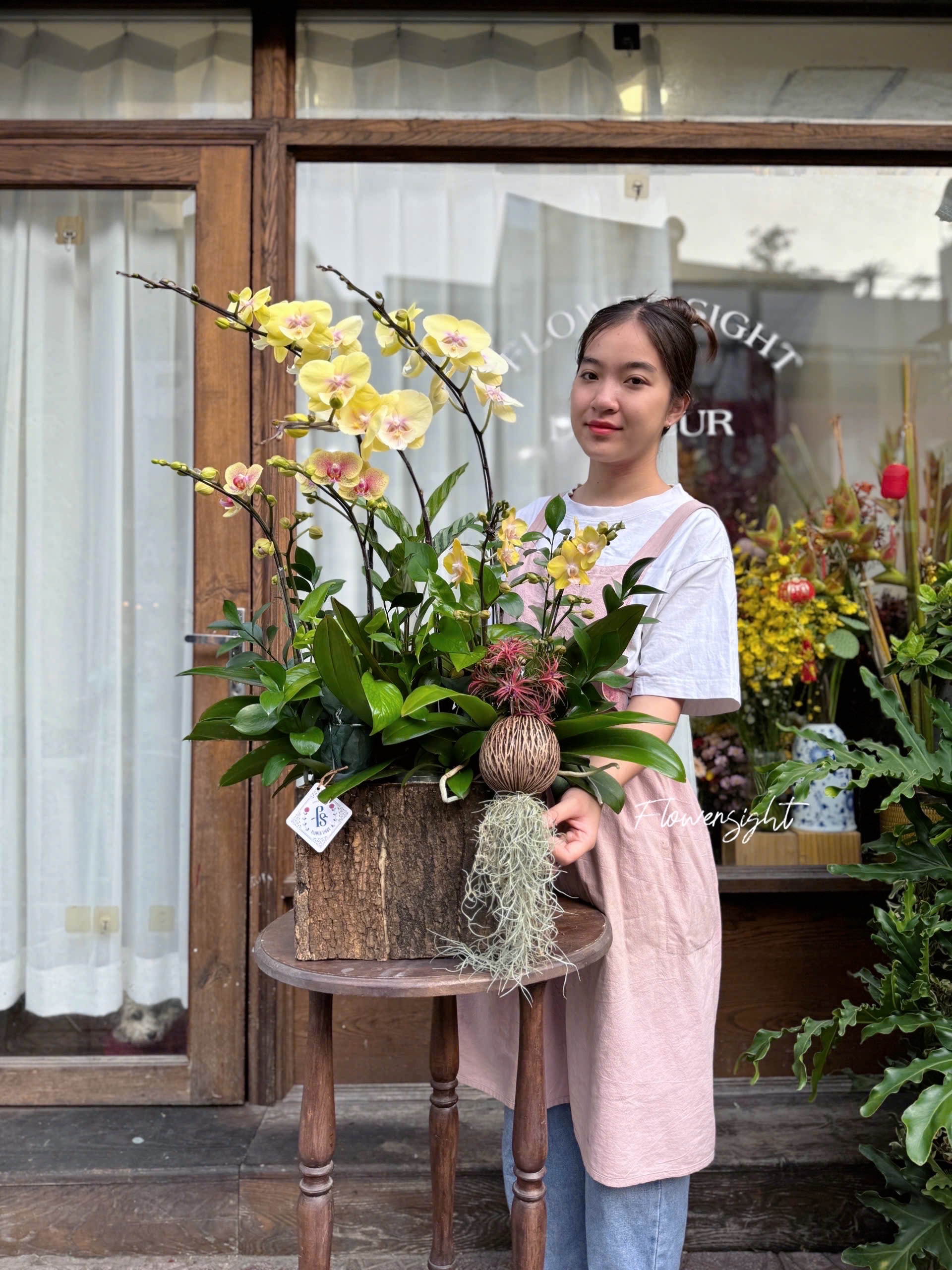 Khởi Sắc Lan Hồ Điệp Khởi Sắc