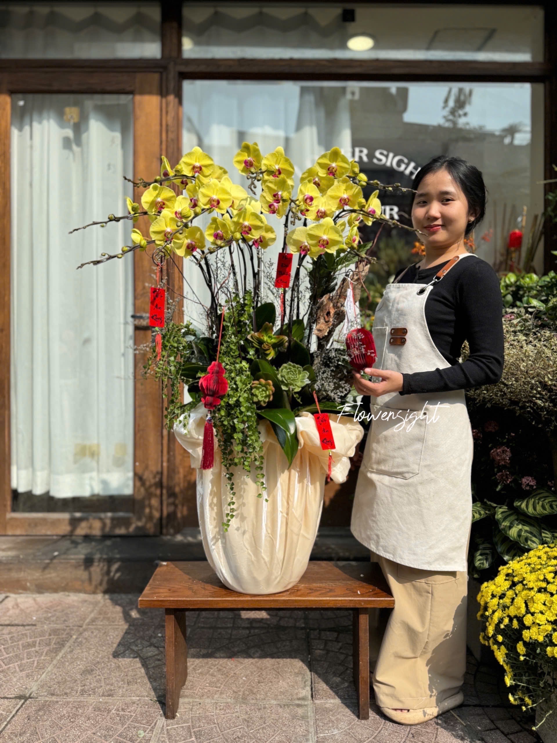 Phát Tài Lan Hồ Điệp Phát Tài