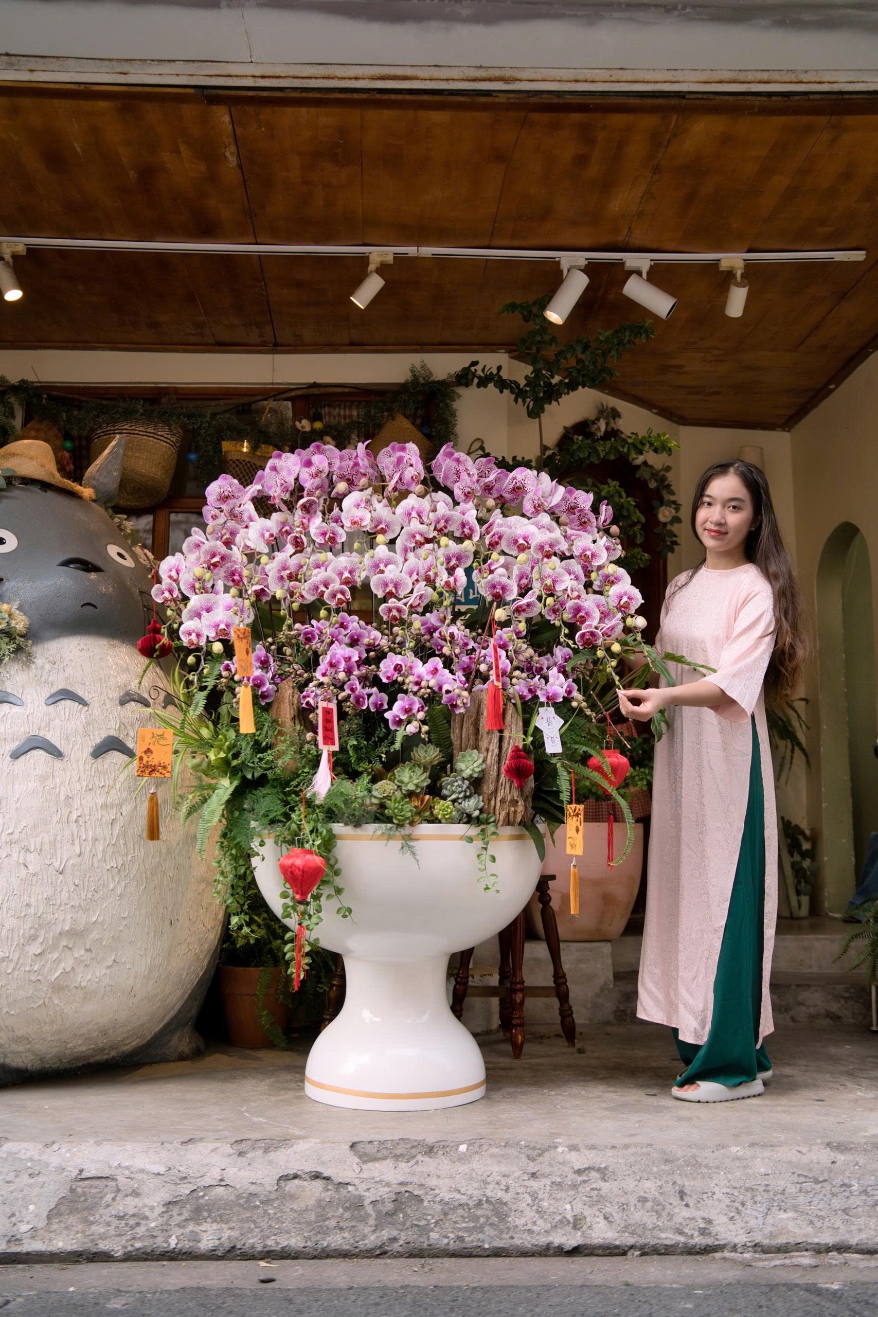 Prosper Garden Lan Hồ Điệp Prosper Garden