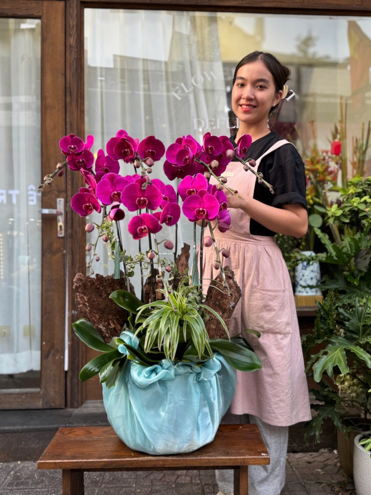 Prosperity Orchid Lan Hồ Điệp Prosperity Orchid