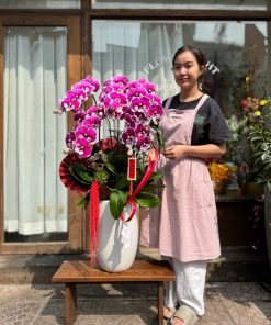 Lan Hồ Điệp Sweet Bloom Orchid
