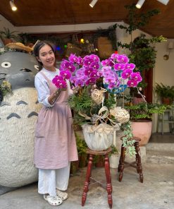 Lan Hồ Điệp Thiên Lộc
