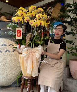 Lan Hồ Điệp Vạn Lộc
