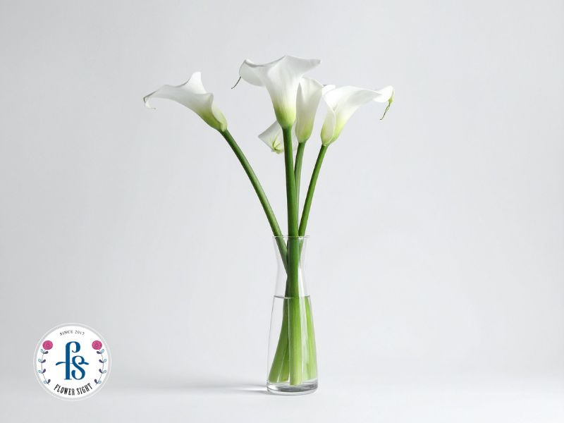 Cach cam hoa hue do ngay cuoi ban tho gia tien dep tuoi lau 2 1 &raquo; FlowerSight