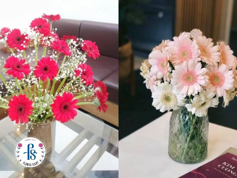cắm hoa đồng tiền để bàn cưới