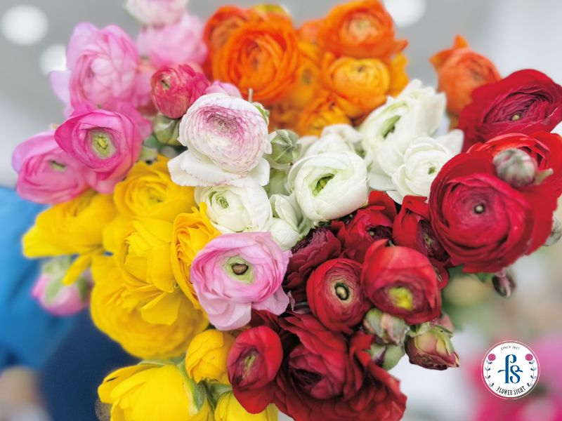 Hướng dẫn chi tiết cách bảo quản hoa cưới tươi lâu từ A-Z Chọn loại hoa cưới cầm tay theo mùa