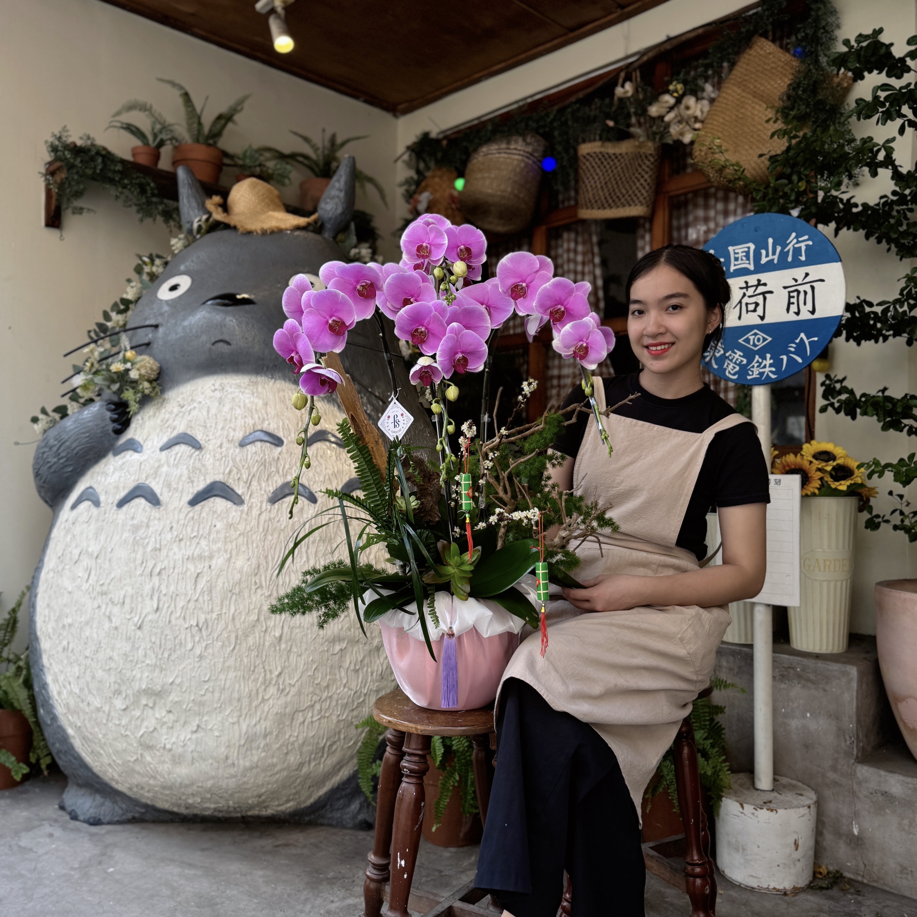 Ánh Ngọc Lan Hồ Điệp Ánh Ngọc