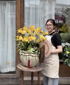 Lan Hồ Điệp Đại Cát