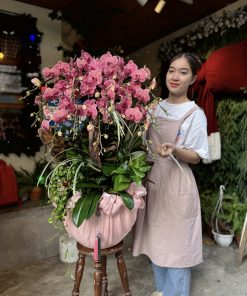 Lan Hồ Điệp Maison Orchid