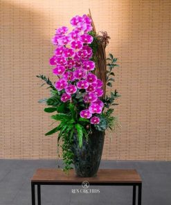 Lan Hồ Điệp Hoàng Điệp Thiên Kim