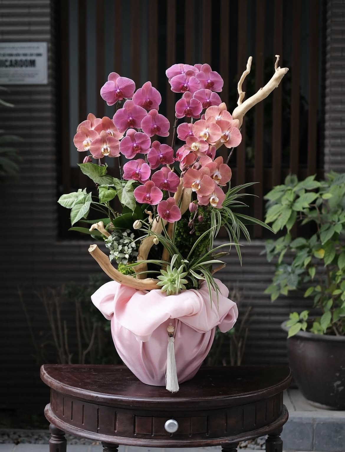 Hoàng Kim Vĩnh Hằng Lan Hồ Điệp Hoàng Kim Vĩnh Hằng