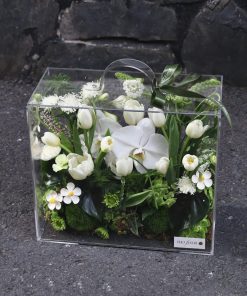 Hộp hoa mica Chắp Cánh Ước Mơ