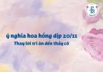 ý nghĩa hoa hồng 20 11